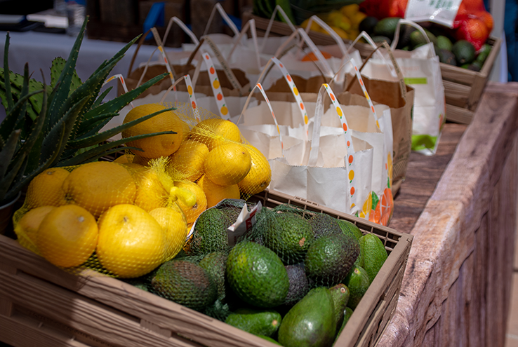 Picture of fruits and vegetables