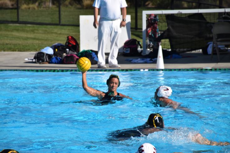 Water polo players