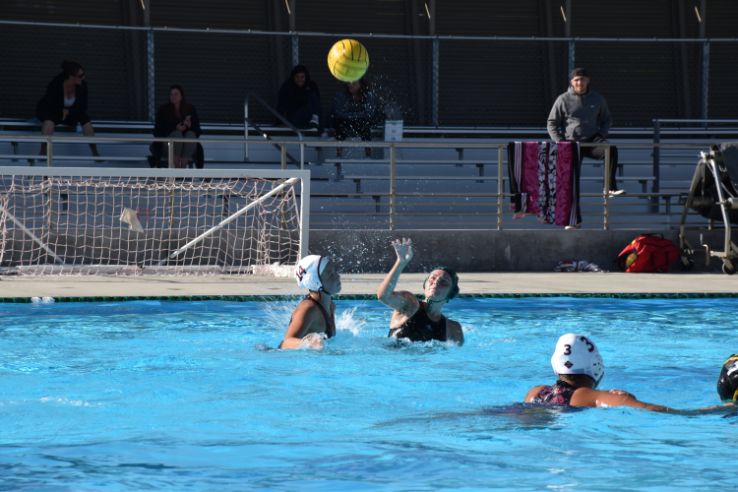 Water polo players