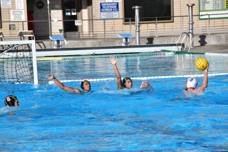 Water polo players