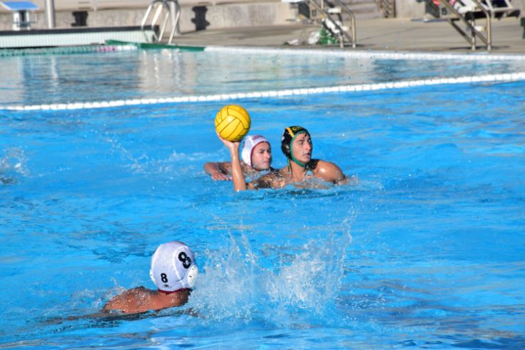 Water polo players