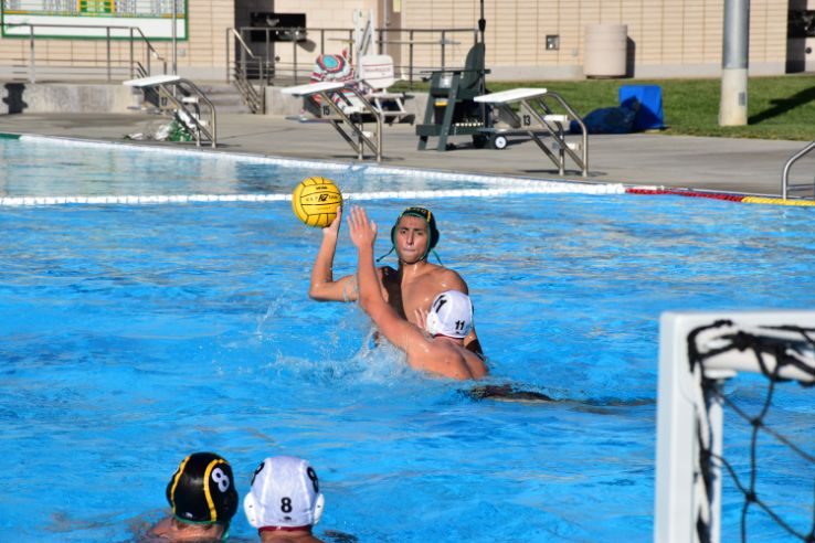 Water polo players