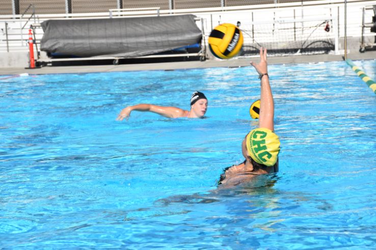 Water polo players