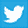 Twitter Logo