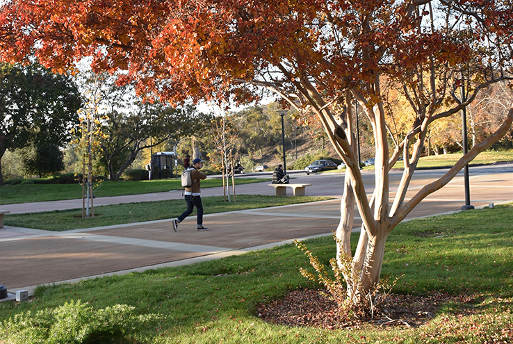 Student walking on campus