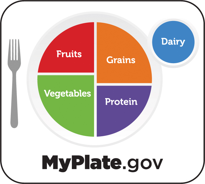 MyPlate.gov: Fruits, grains, vegetables, protein, dairy