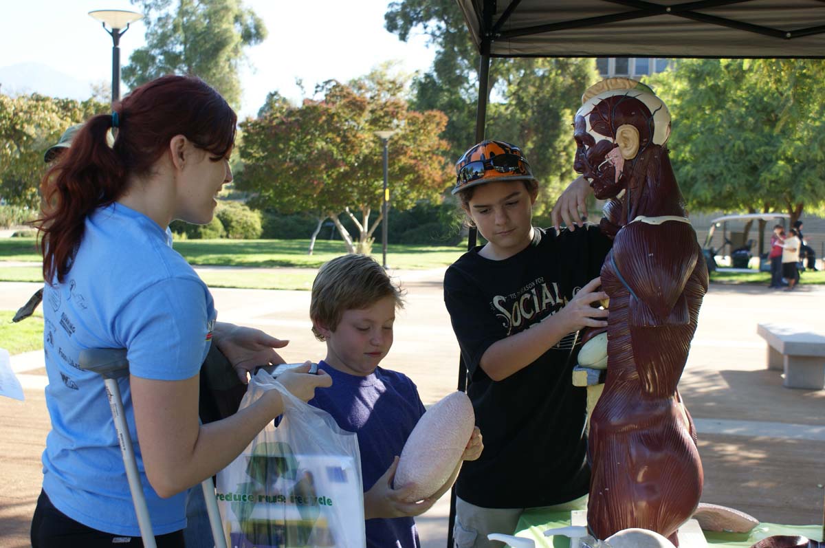 People enjoying Family Fest