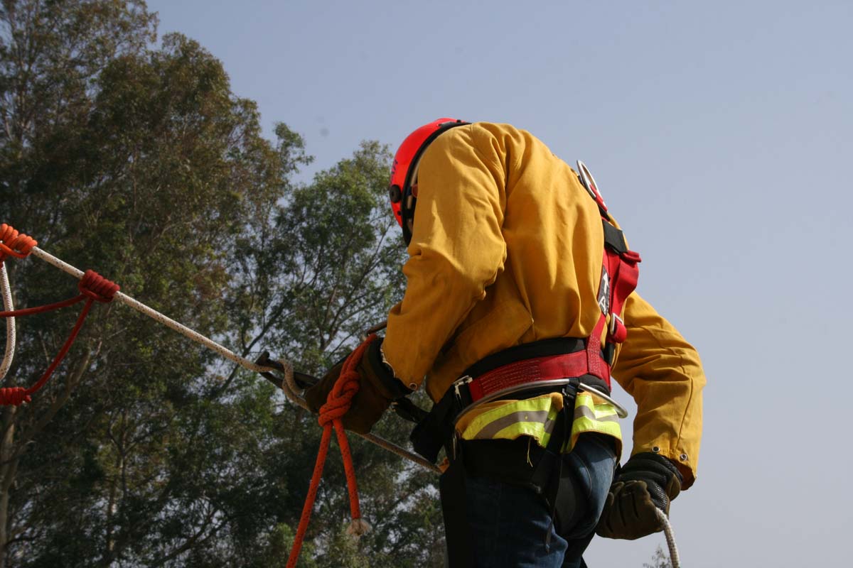 Cadets rappelling