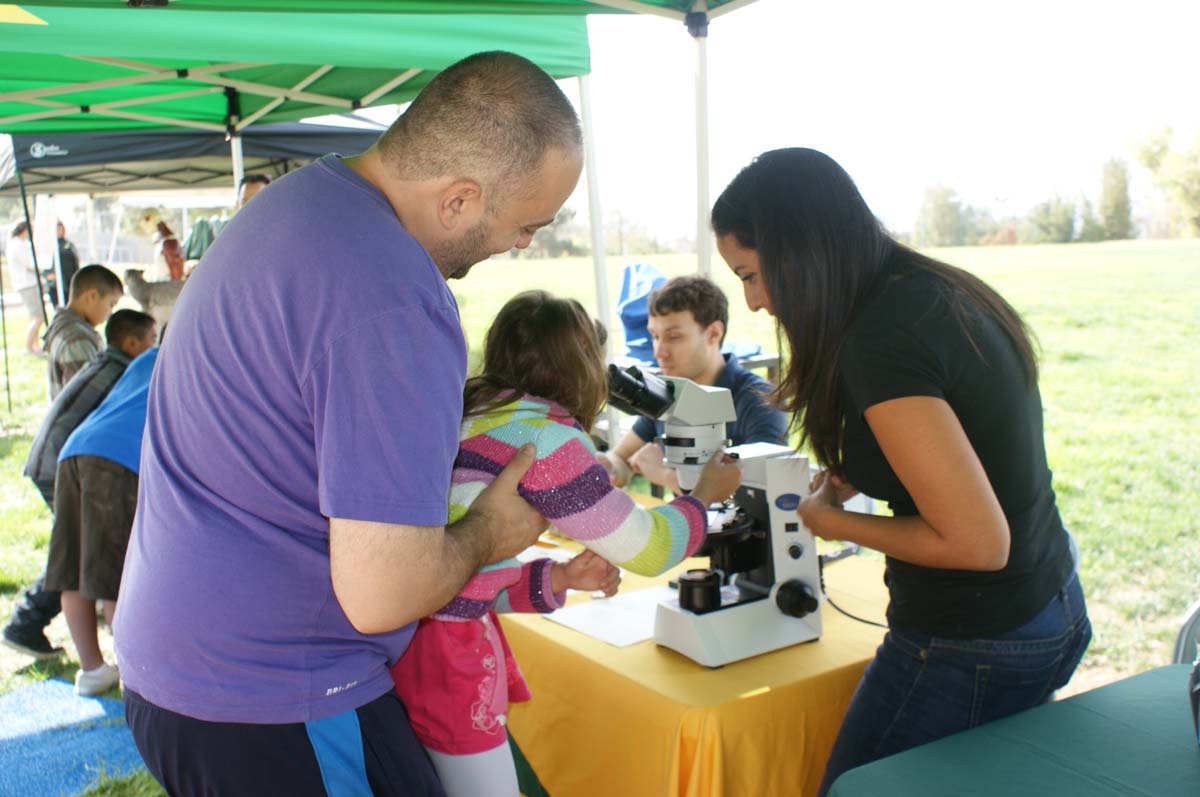 People enjoying Family Fest