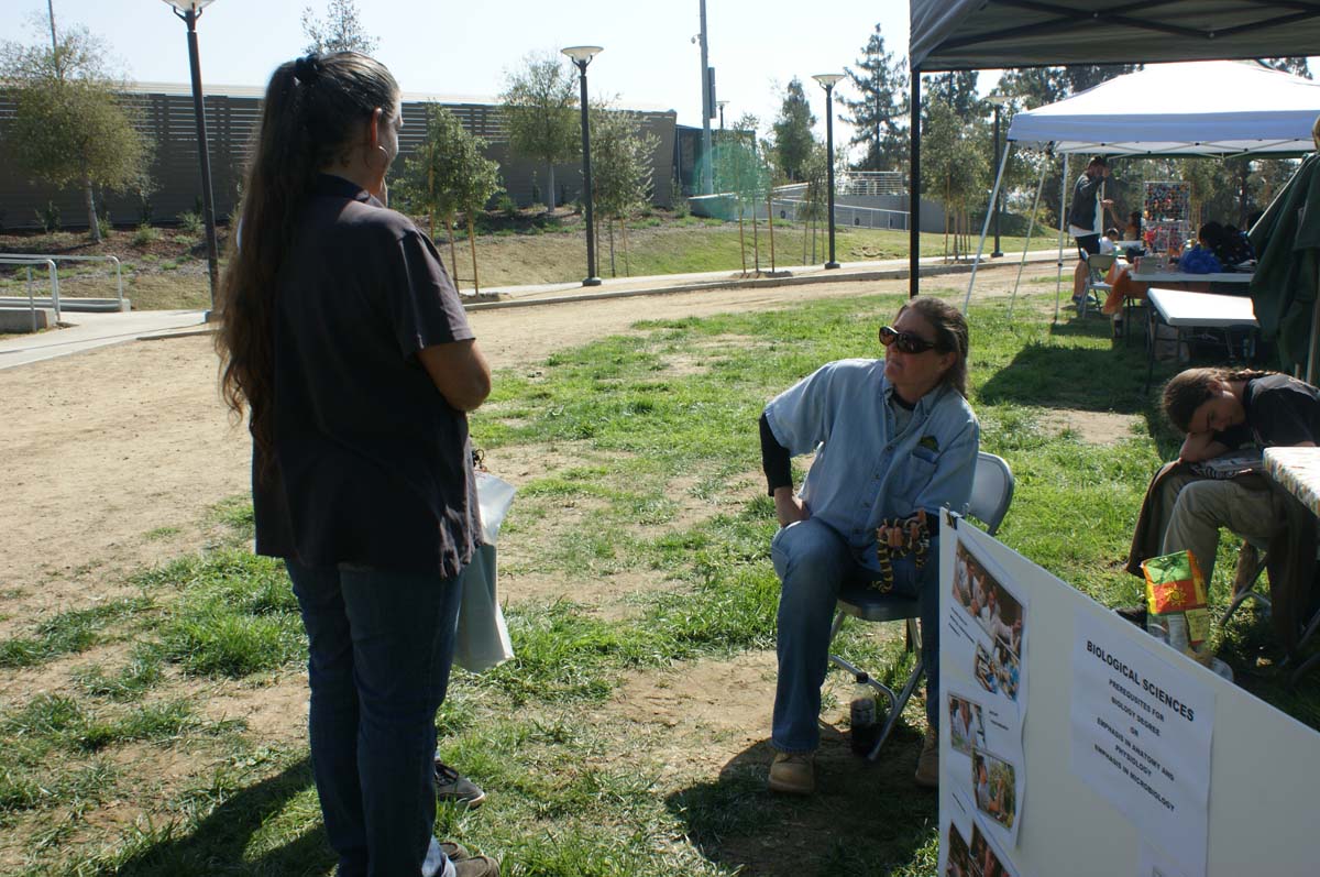 People enjoying Family Fest