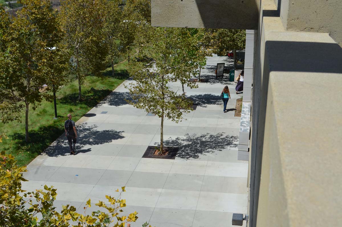 People enjoying the first days of fall semester