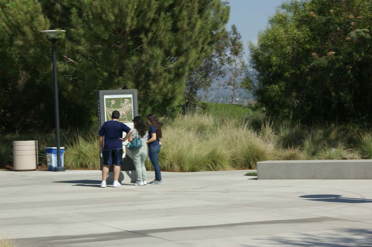 People enjoying the Roadrunner Rally