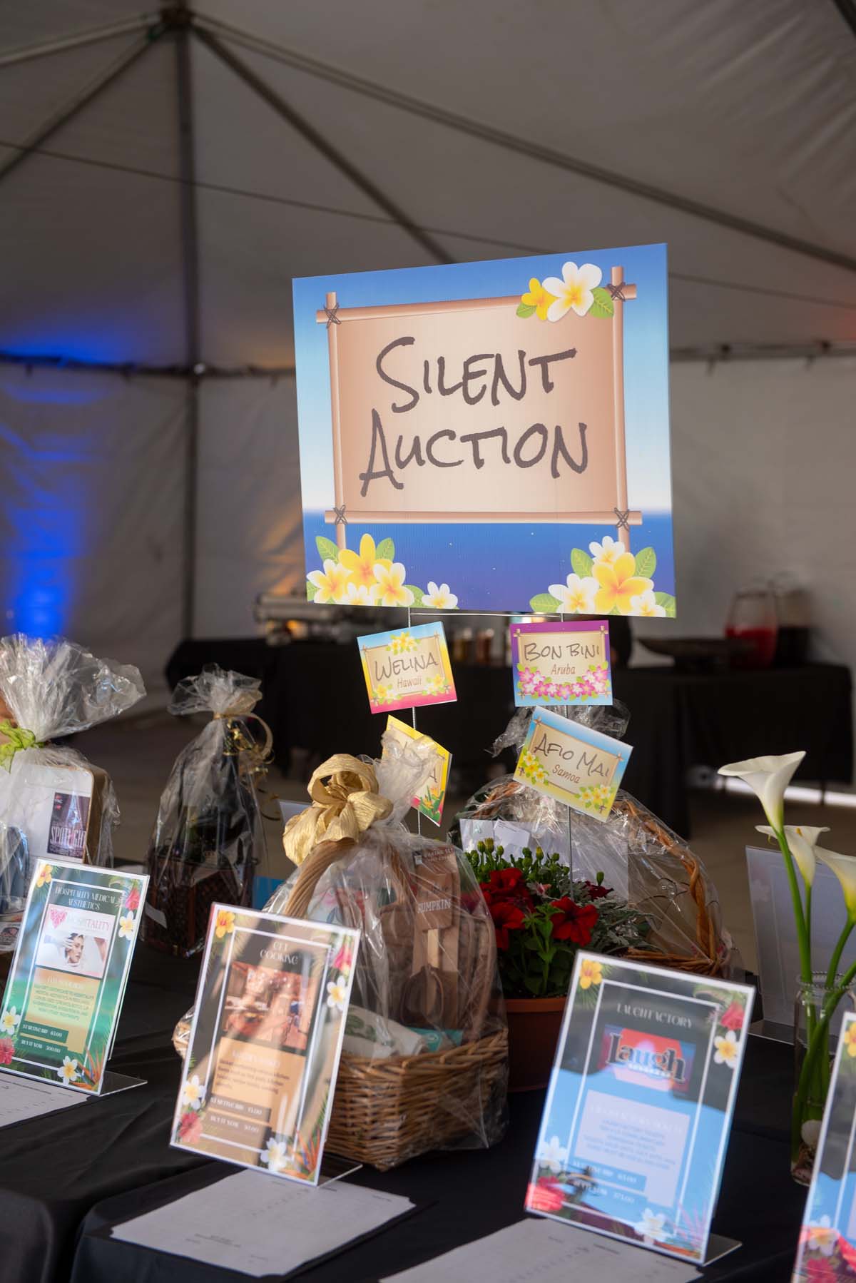 silent auction display