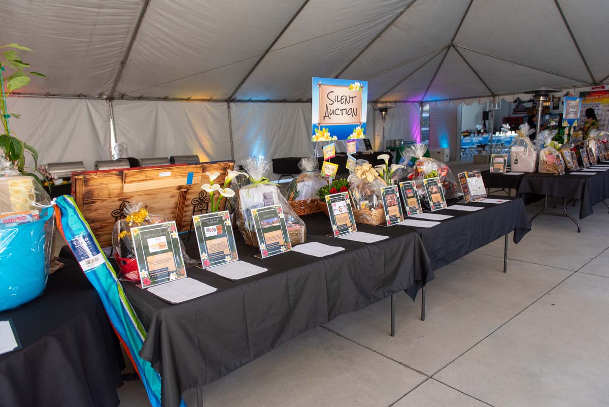 silent auction display