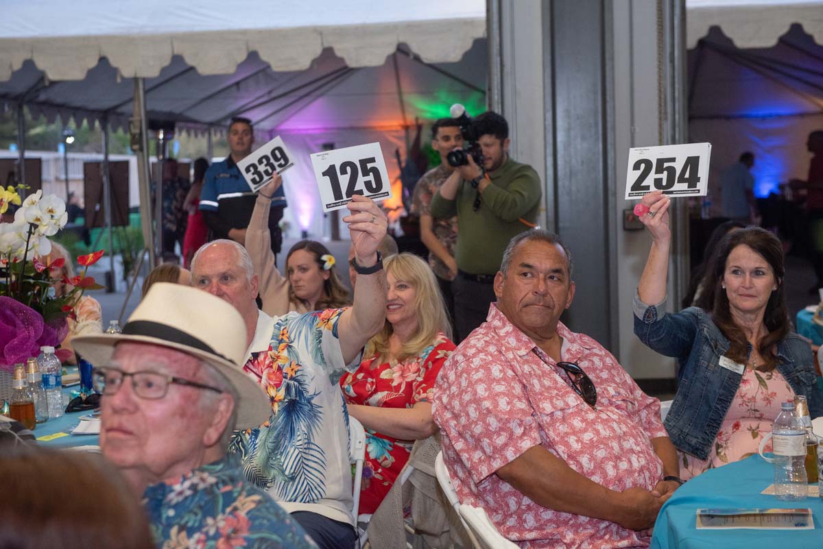People holding up bidding numbers