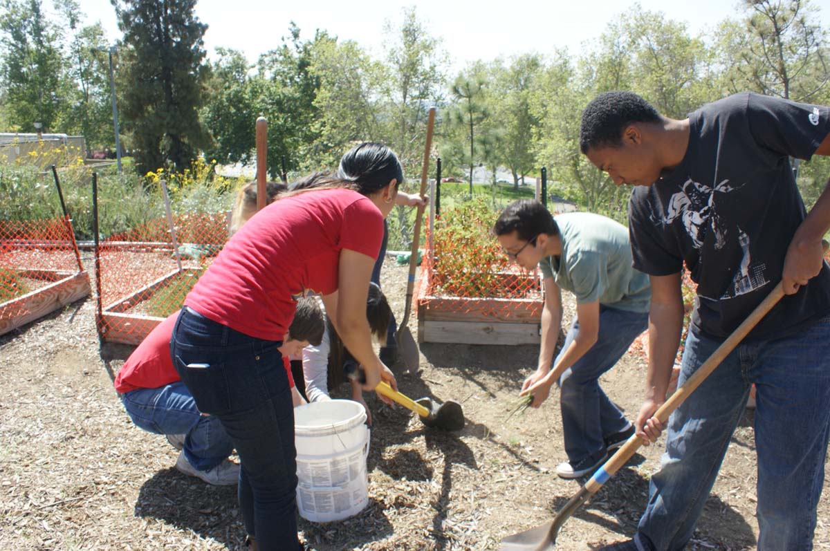 People at the community garden