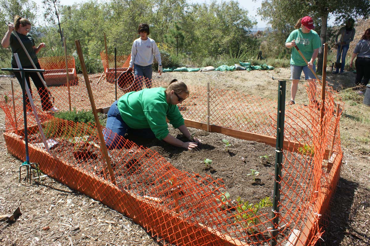 People at the community garden