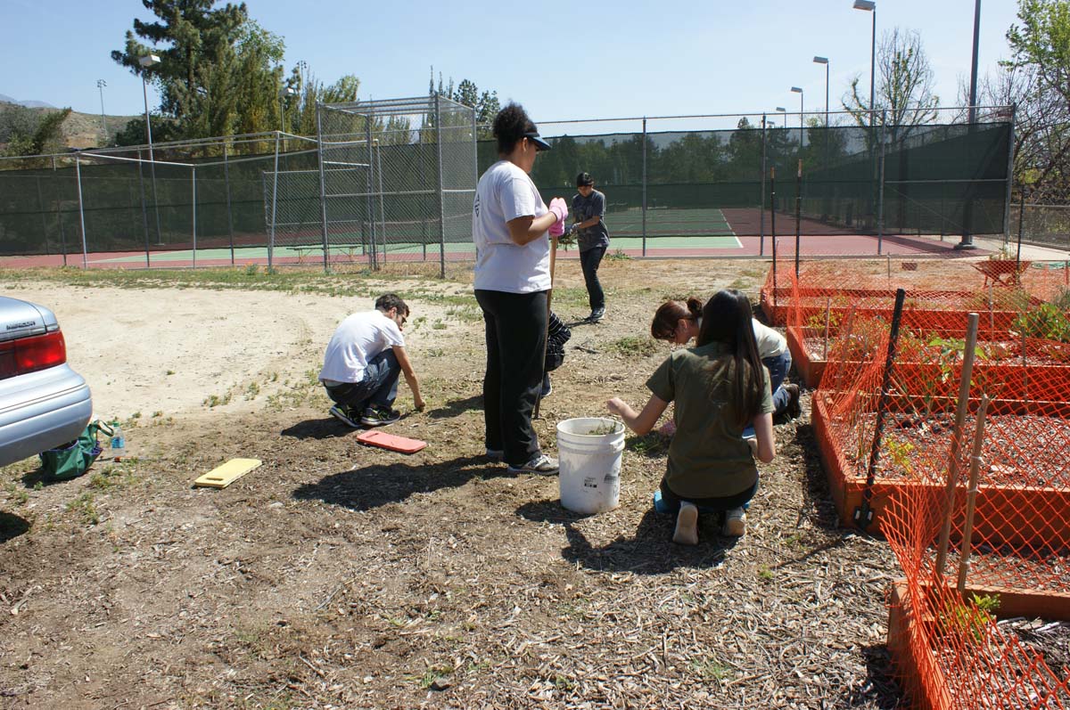 People at the community garden