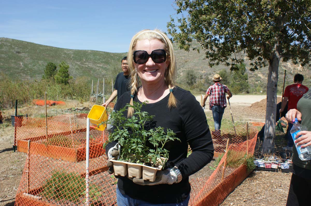 Community Garden Photos Thumbnail