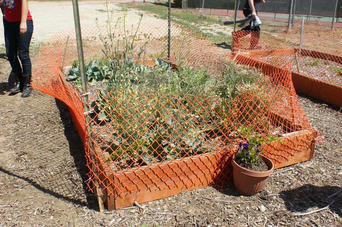 People at the community garden