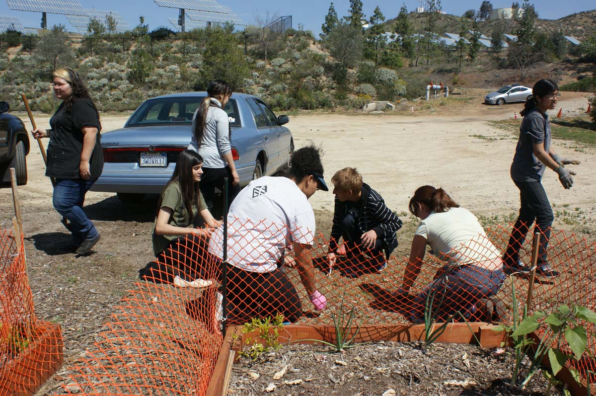 People at the community garden