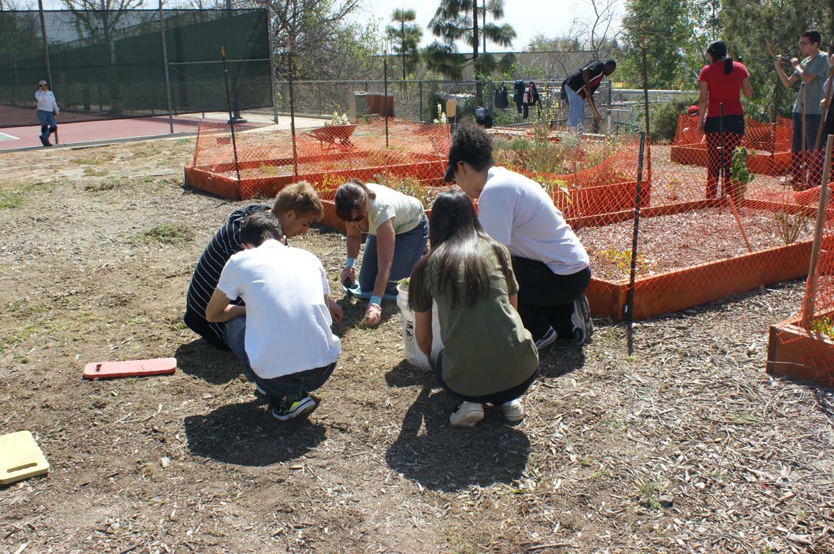 People at the community garden