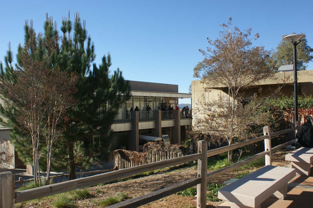 Students on campus