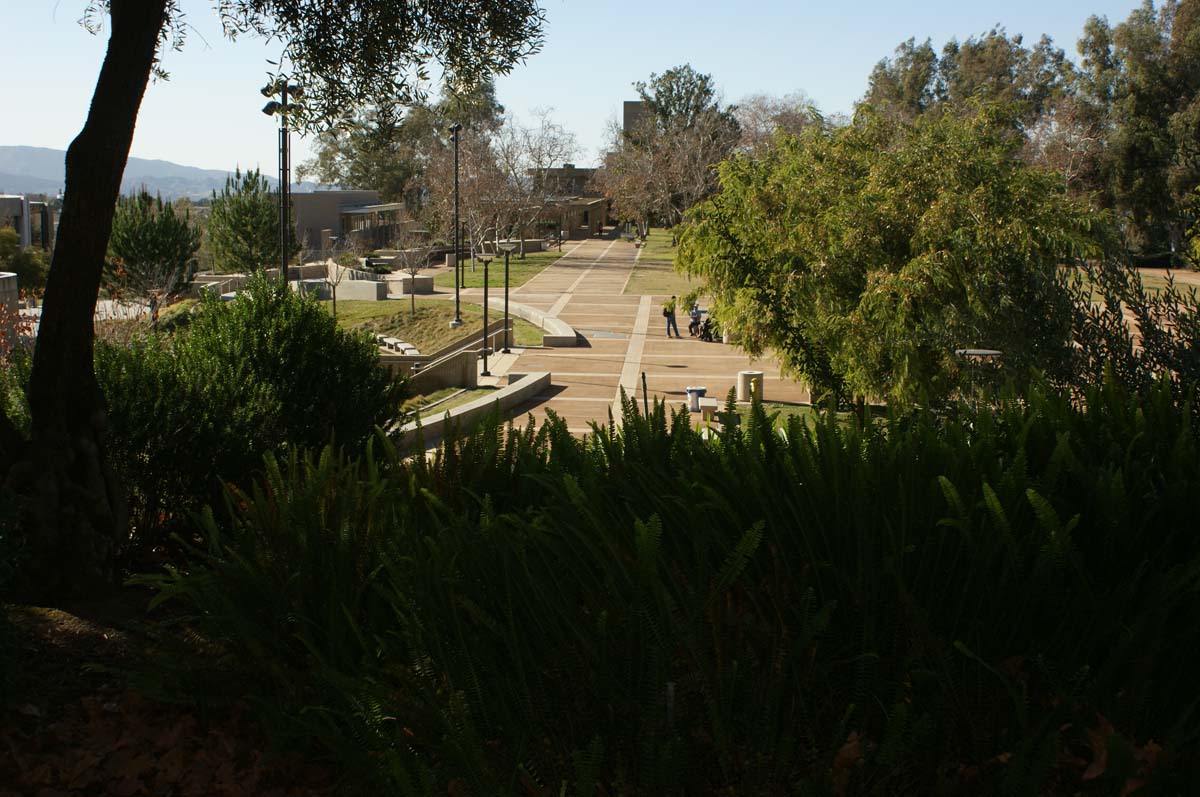 Students on campus