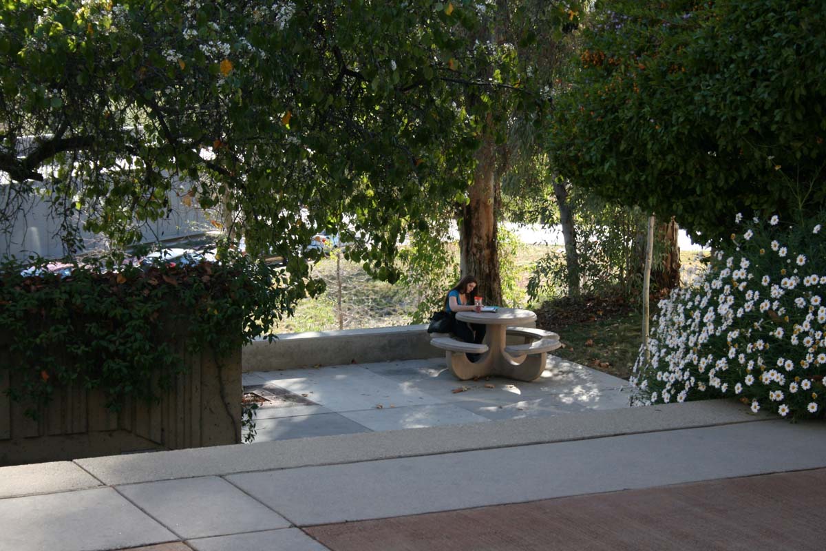 Students on campus