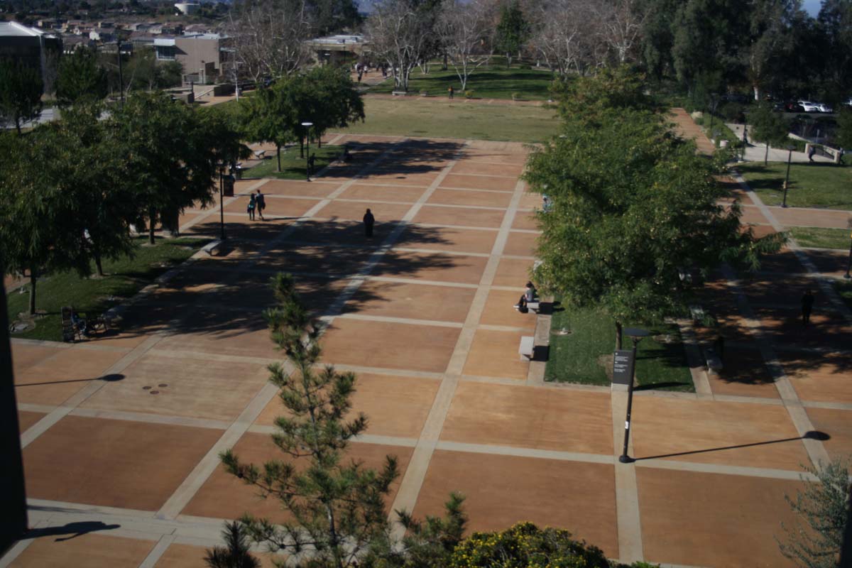 Students on campus