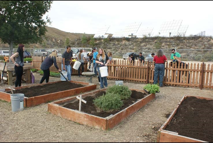 How the Crafton Community Garden Grows
