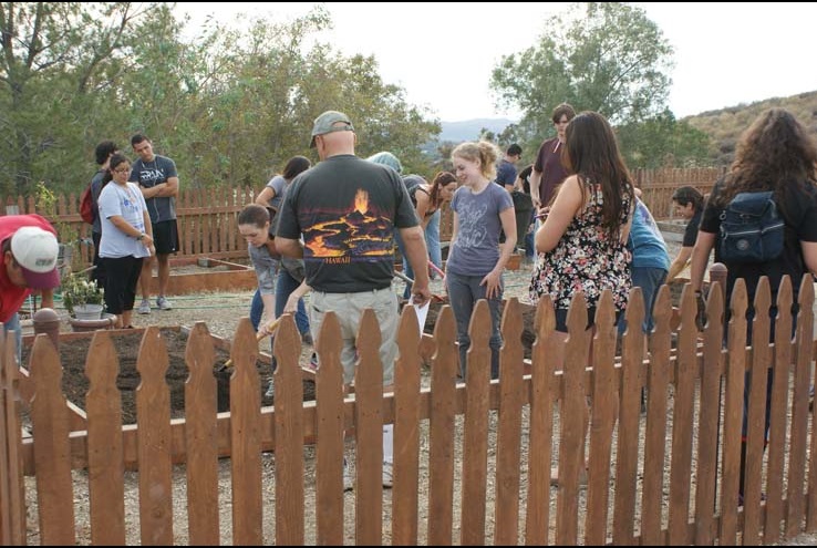 How the Crafton Community Garden Grows