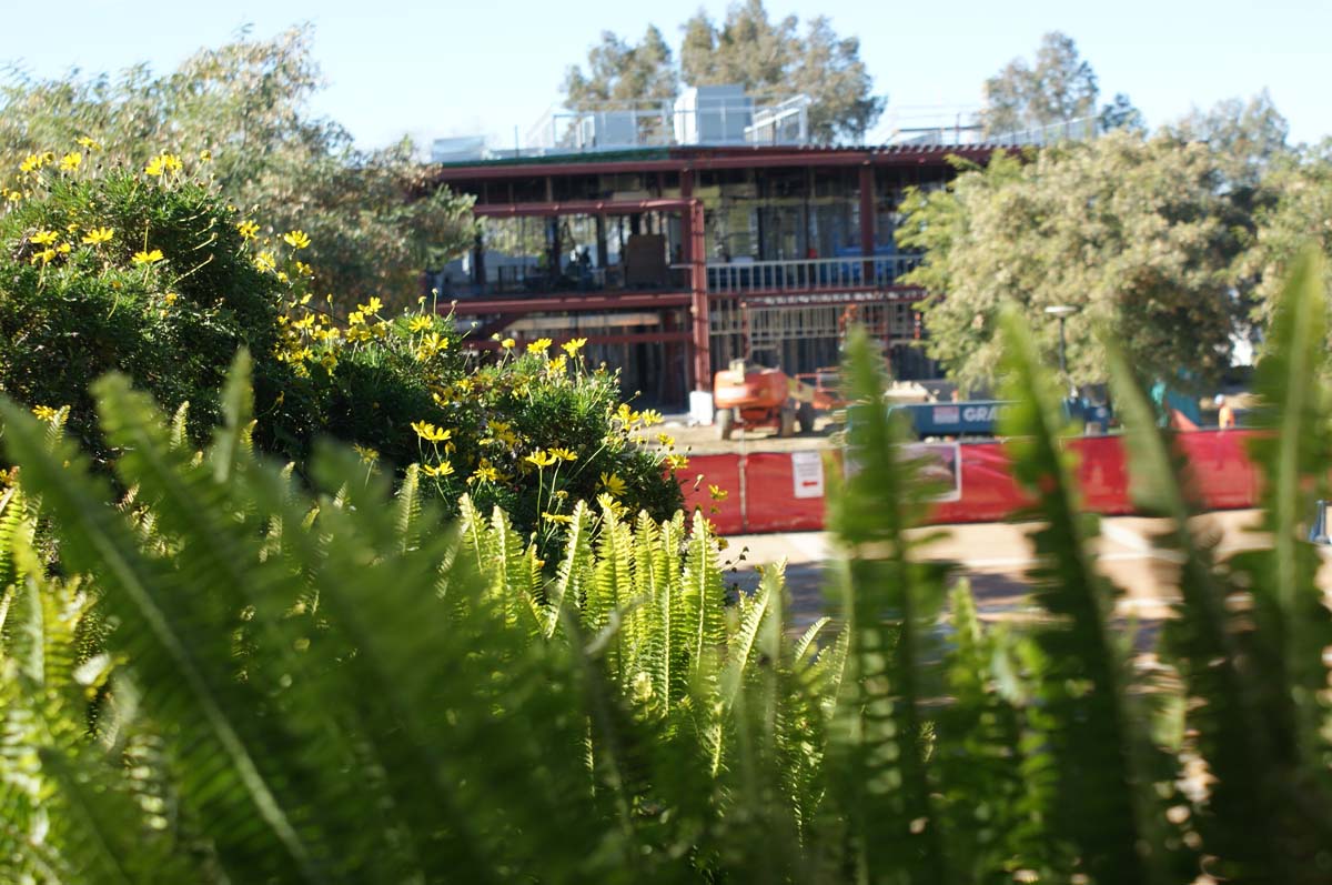 Campus construction