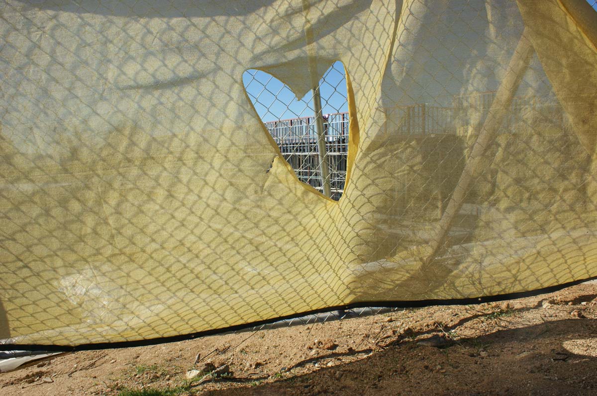 Campus construction