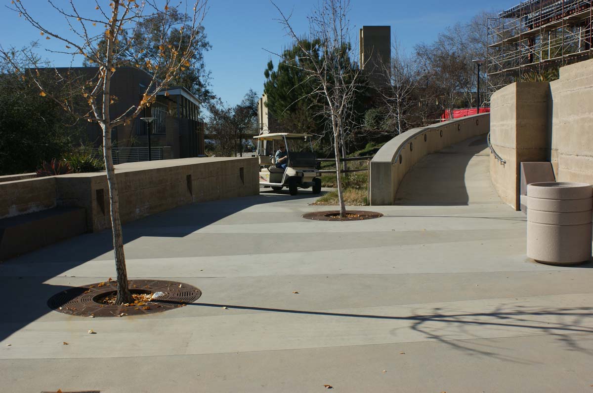 Campus construction