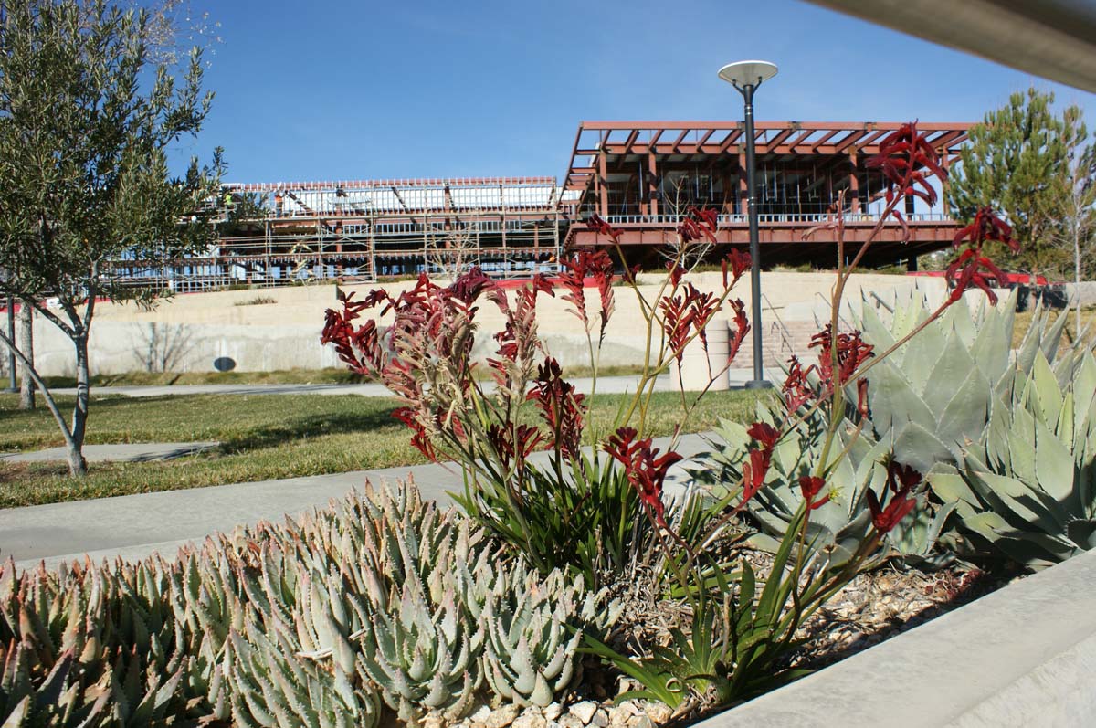 Campus construction