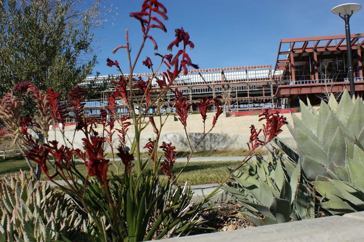Campus construction