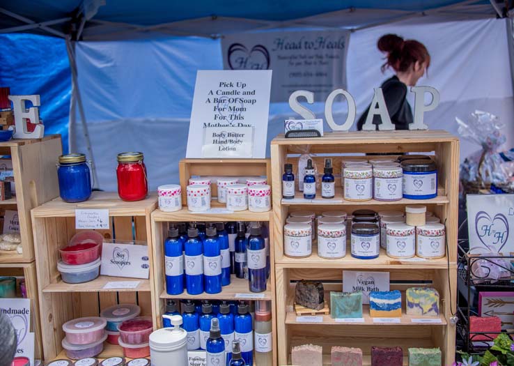 Attendees at the Herbivore Festival