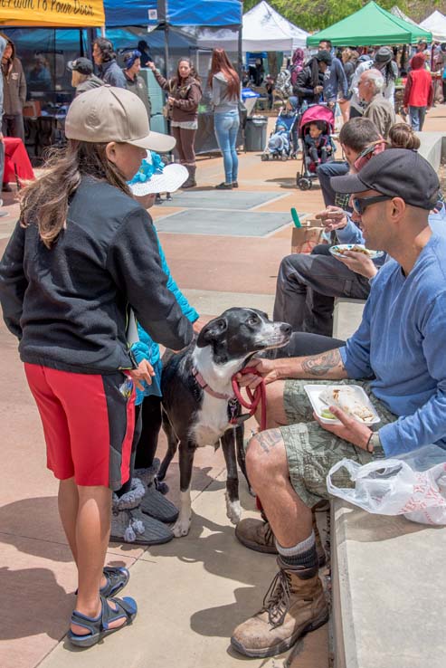 Attendees at the Herbivore Festival