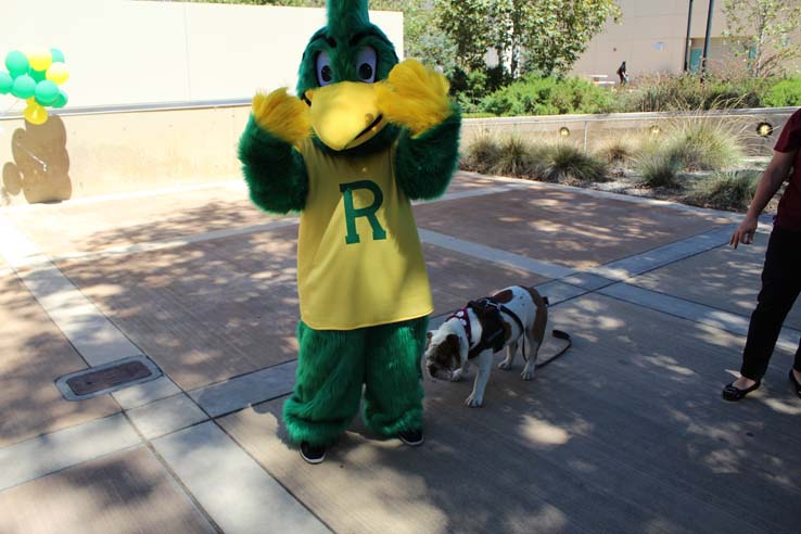 Ryker's birthday party and Spirit Day