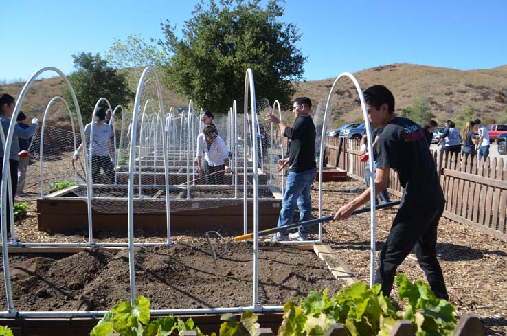 People working in the community garden