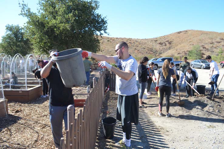 People working in the community garden