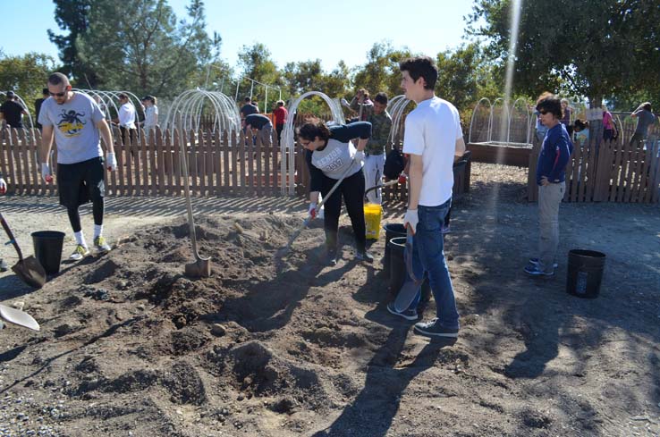 People working in the community garden