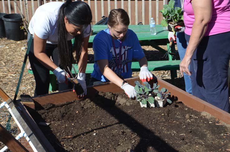 People working in the community garden