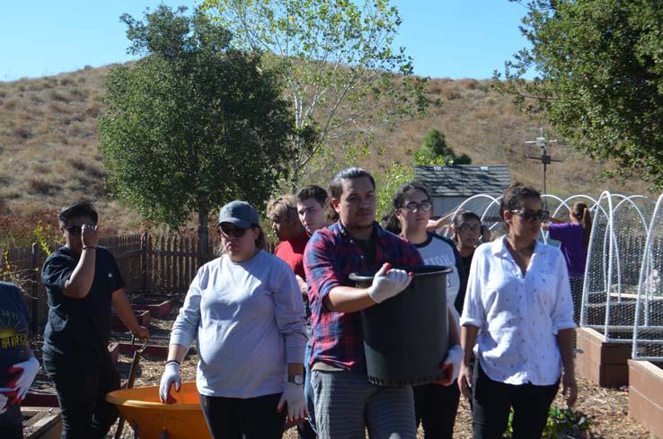 People working in the community garden