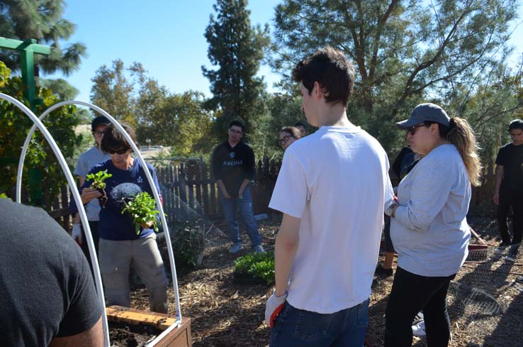 People working in the community garden