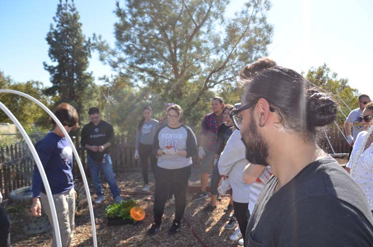 People working in the community garden