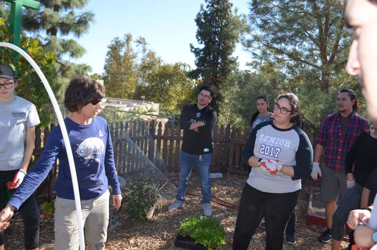 People working in the community garden