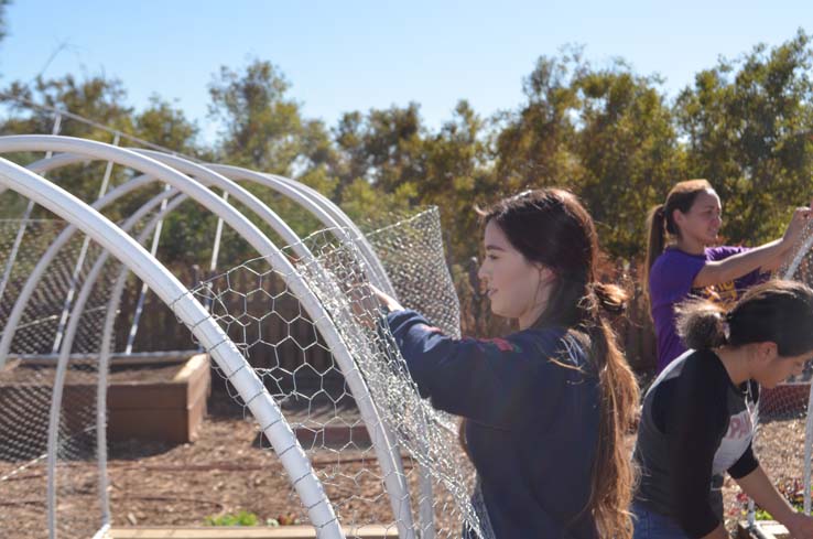 People working in the community garden