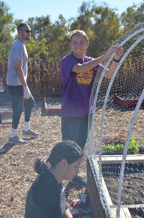 People working in the community garden